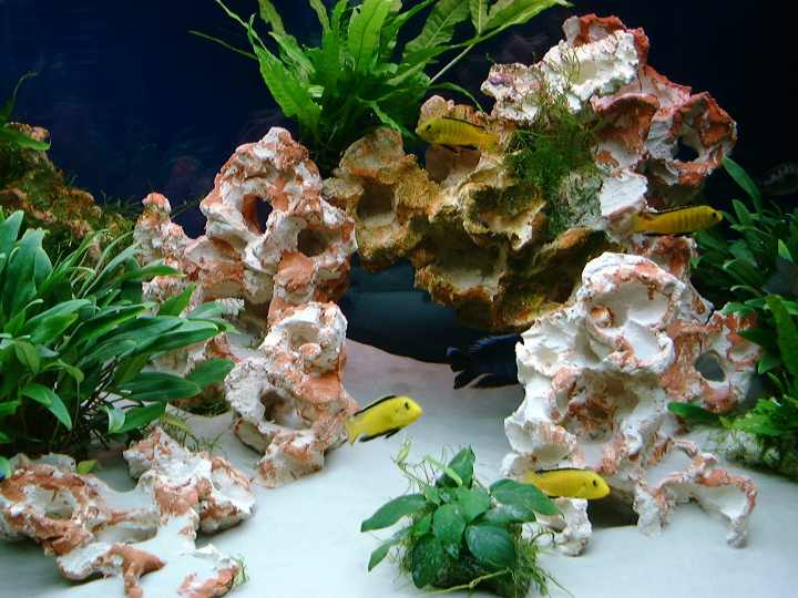 Aquarium mit Aquaroche Steine und Felsen