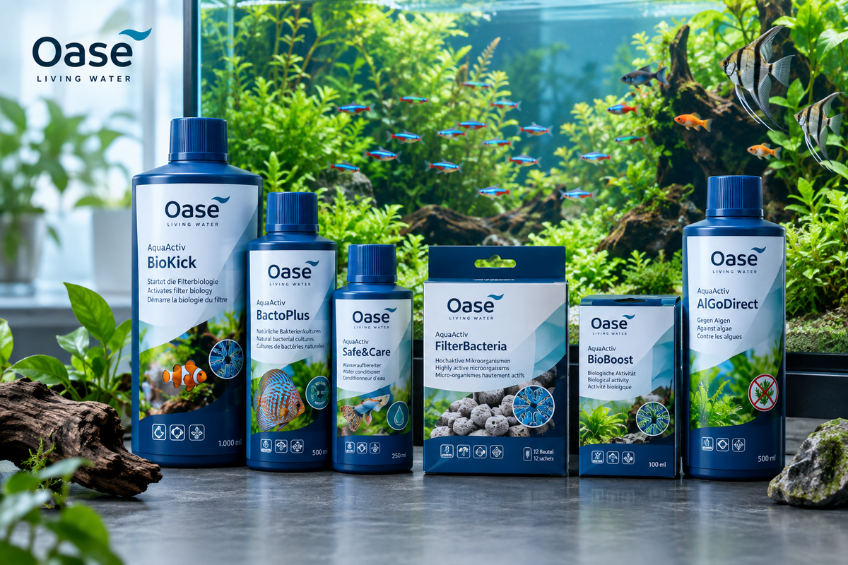 Wasseraufbereitung, Bakterien & Co.