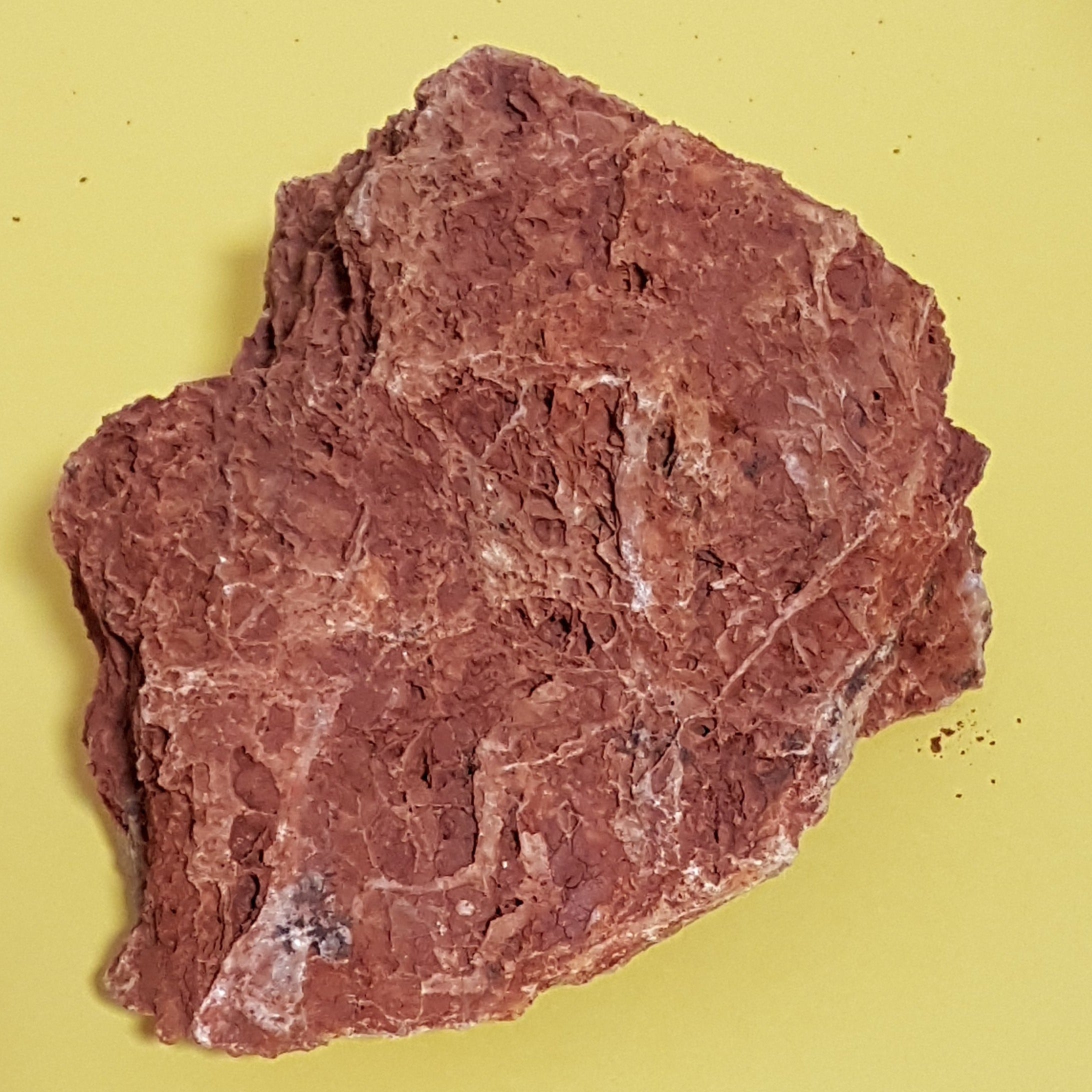 Aqua-Deco Versteinertes Laub, Naturstein #2