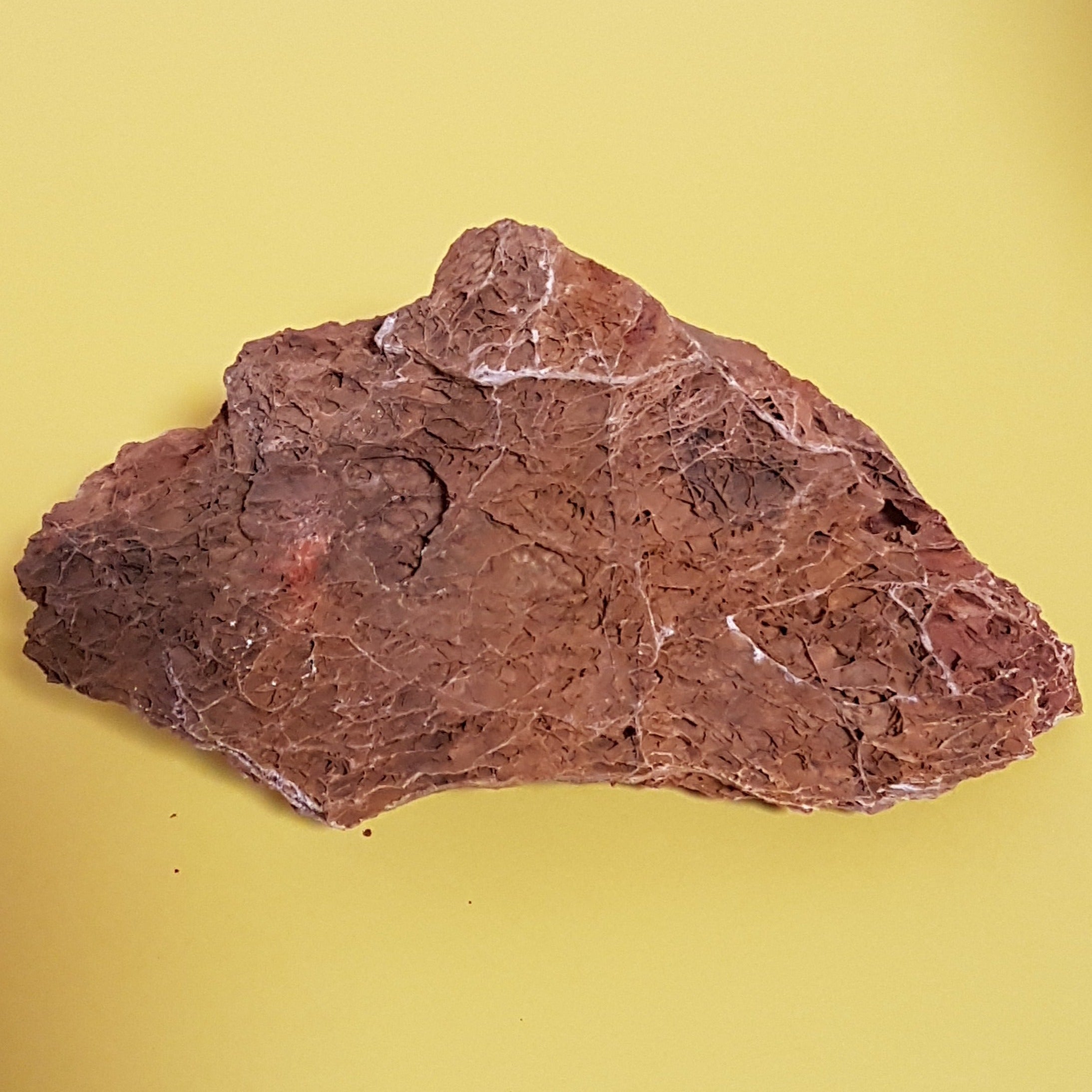 Aqua-Deco Versteinertes Laub Naturstein #3