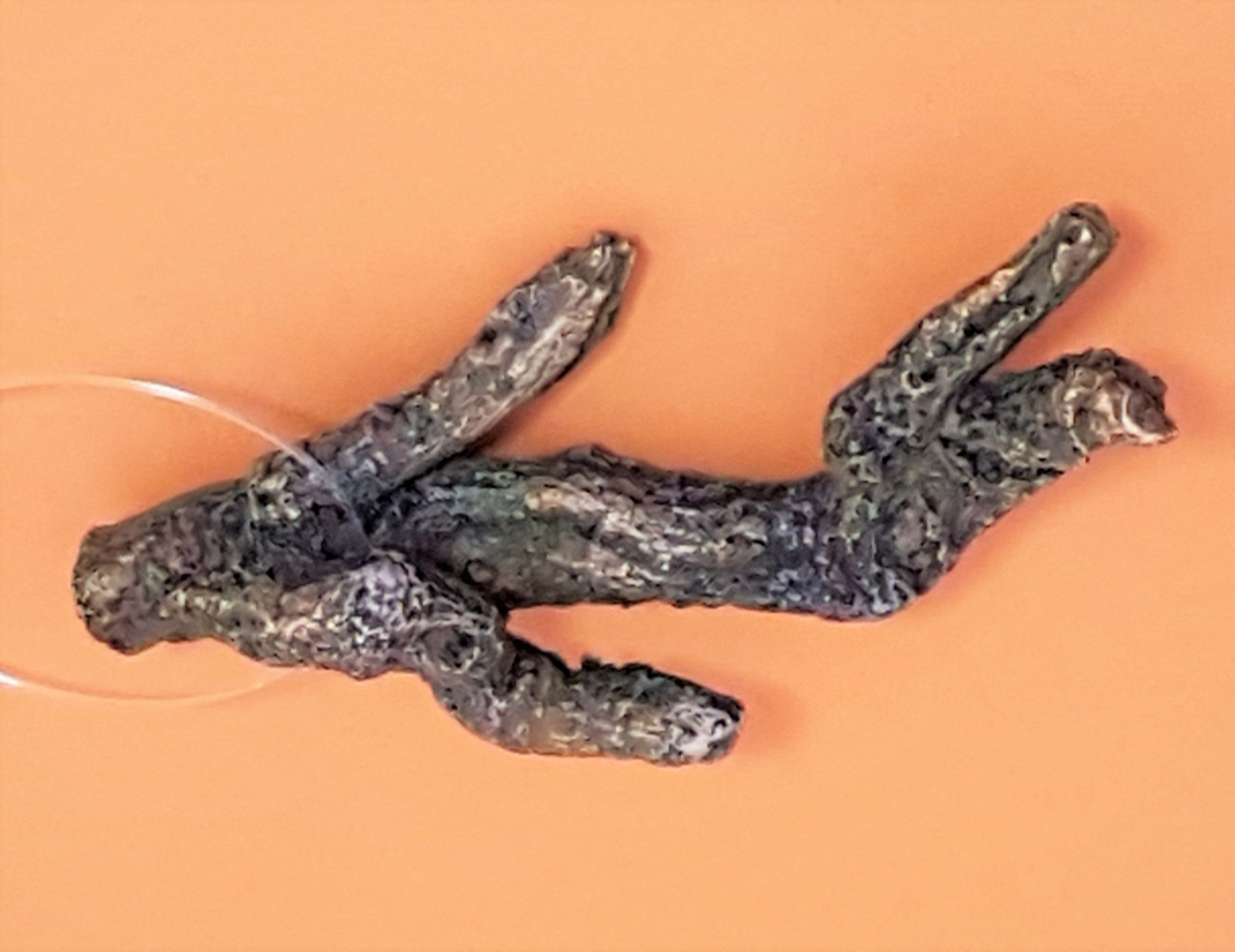 Europet Deko Wood Nano