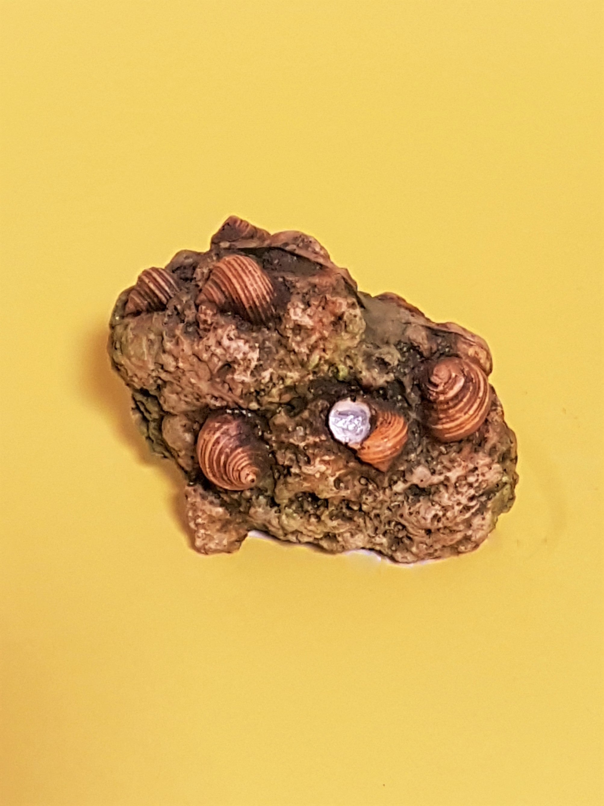 Europet Deko Reef Rock Muscheln