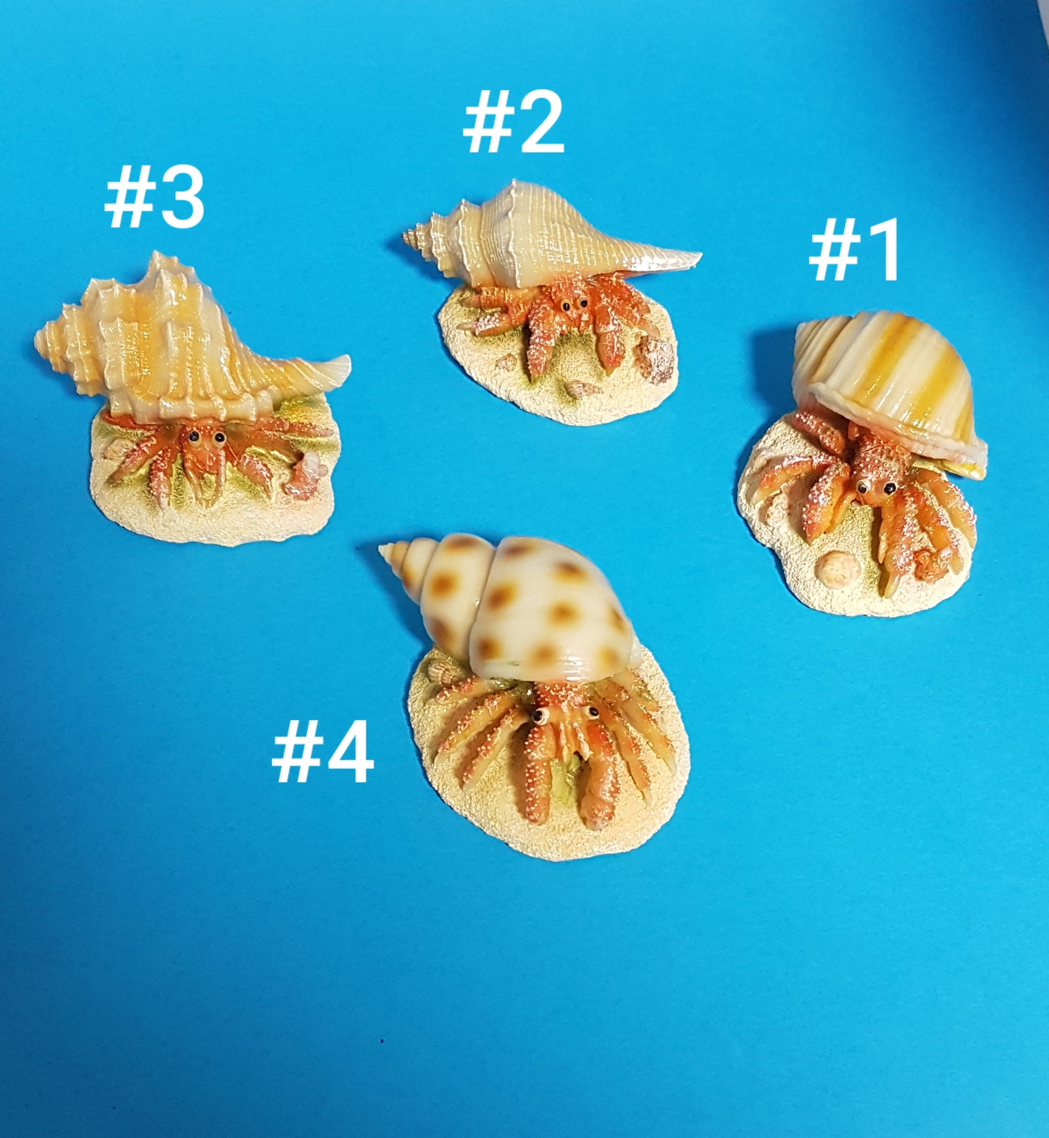 Europet Deko Hermit Crab Einsiedlerkrebs mit Muschel