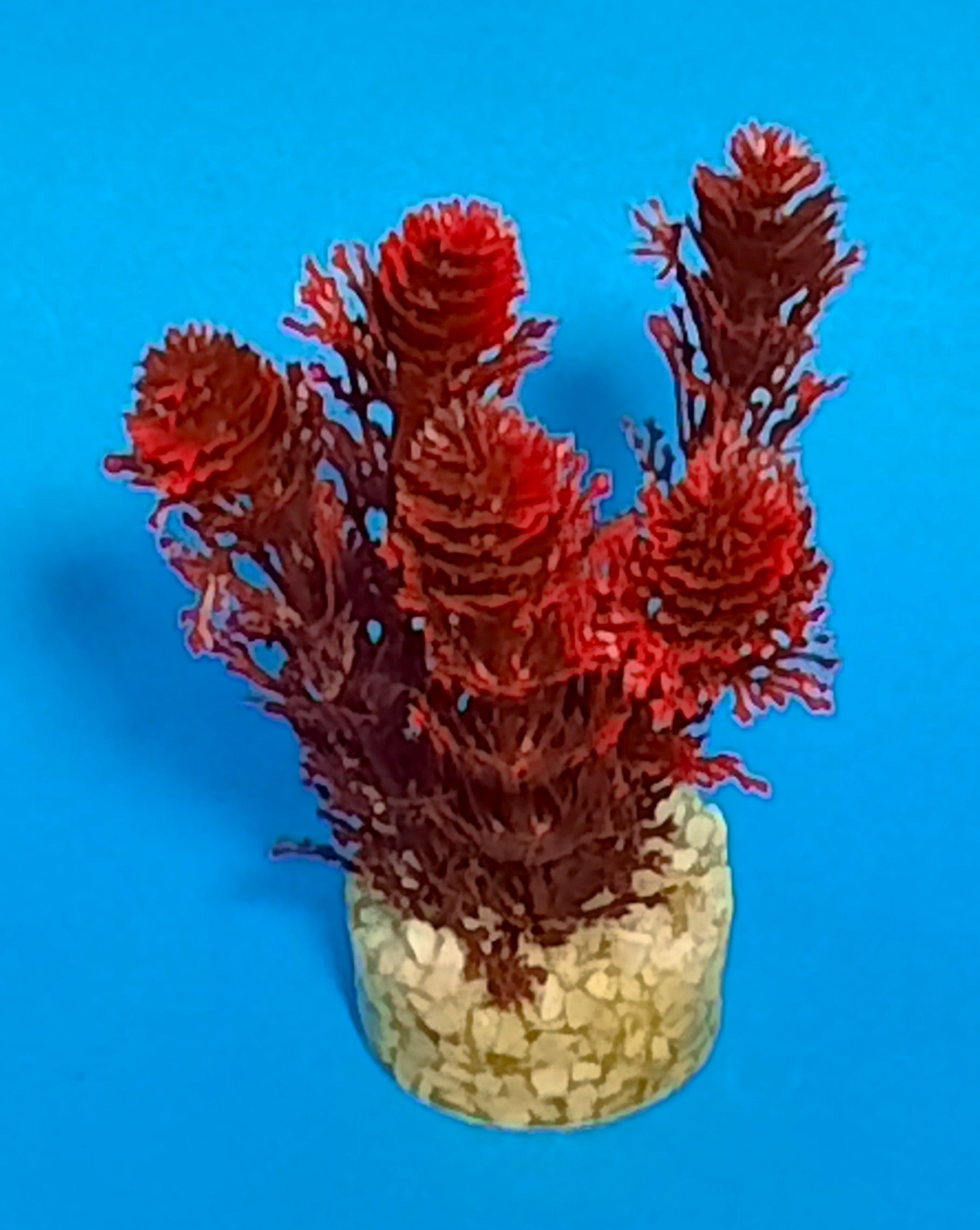 Seydeco Kunstpflanze Mini Flower 10cm 1 Stück