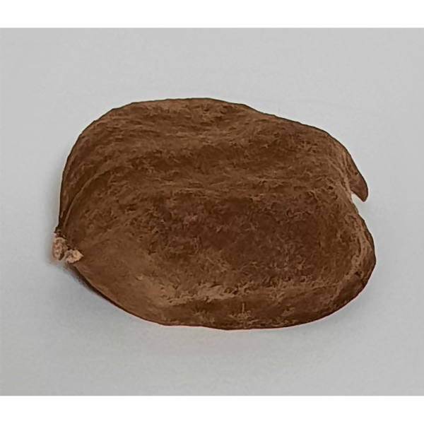 Natürliche Deko-Schote 6-8cm