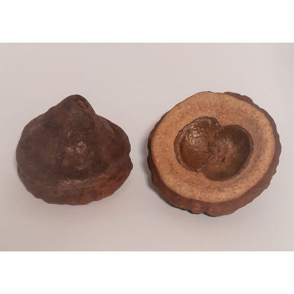 Natürliche Deko-Nuss ca. 7cm