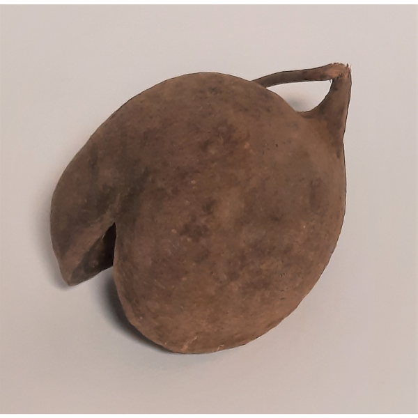 Natürliche Deko-Muschel-Nuss 8-15cm