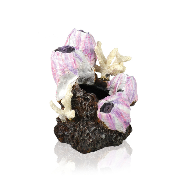 biOrb Seepflanzen Ornament S pink