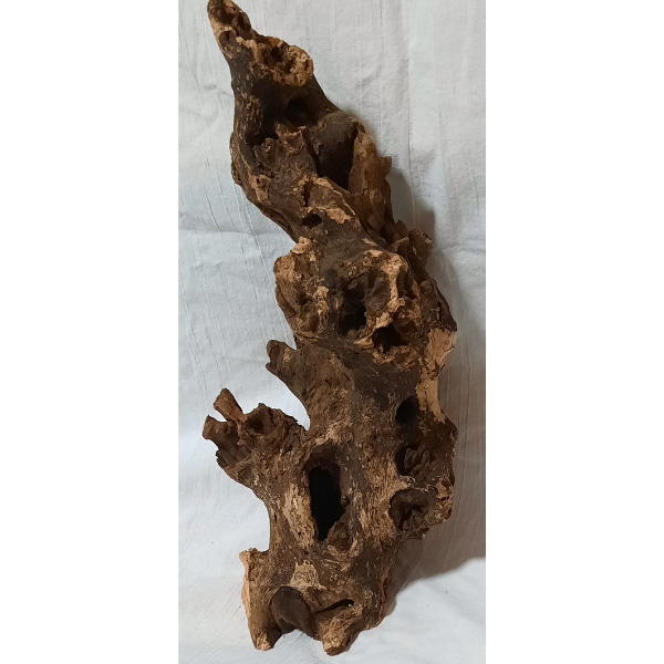 Barico Wurzel Large #109