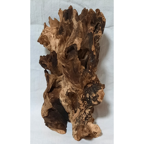 Barico Wurzel Mittel #209