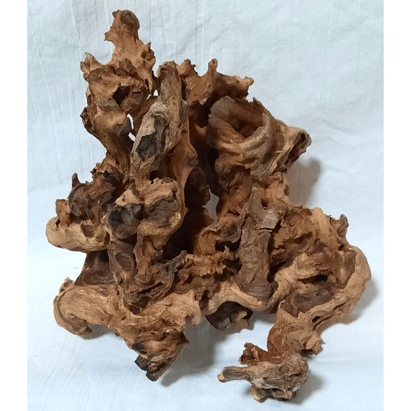 Barico Wurzel Mittel #210