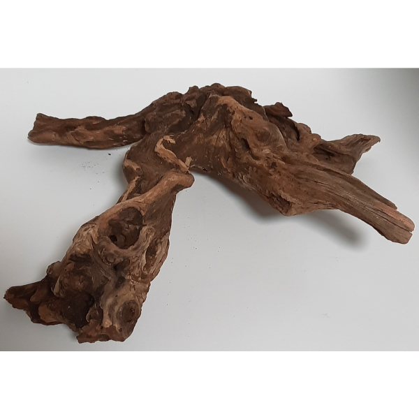 Sera Drift Wood, Natürliches Treibholz M #01