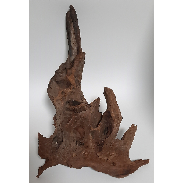 Sera Drift Wood, Natürliches Treibholz M #02