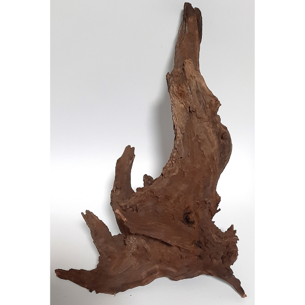 Sera Drift Wood, Natürliches Treibholz M #02