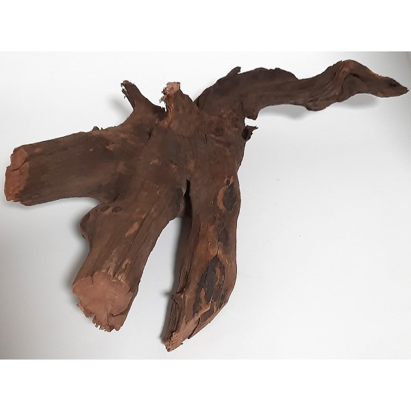 Sera Drift Wood, Natürliches Treibholz M #03