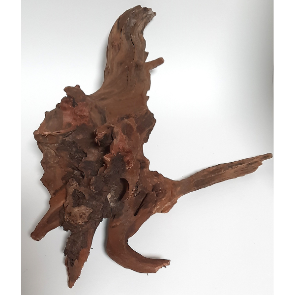 Sera Drift Wood, Natürliches Treibholz M #04