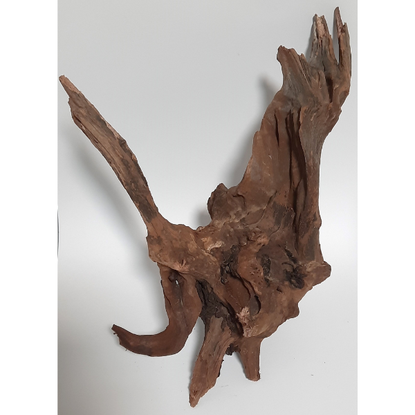 Sera Drift Wood, Natürliches Treibholz M #04