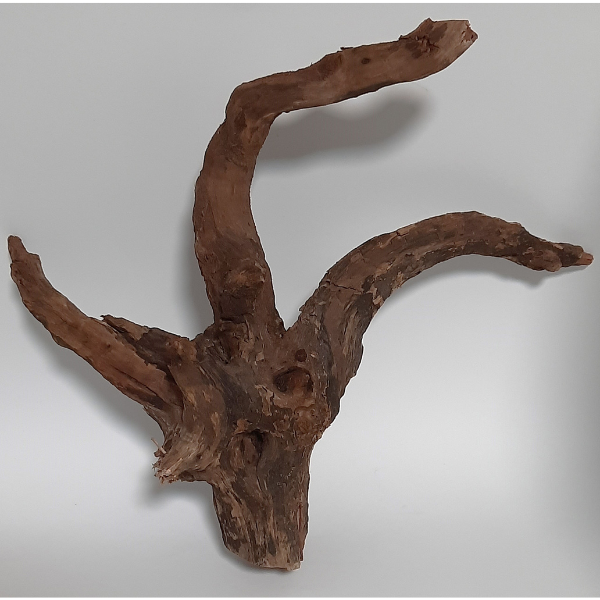 Sera Drift Wood, Natürliches Treibholz M #05