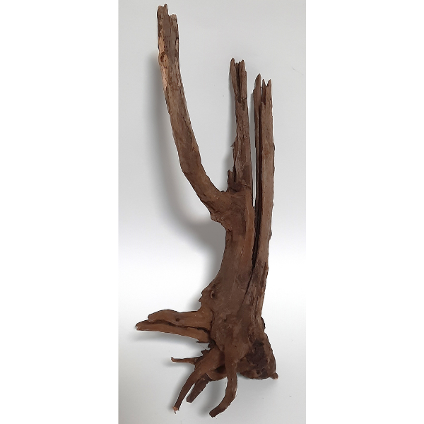 Sera Drift Wood, Natürliches Treibholz M #06