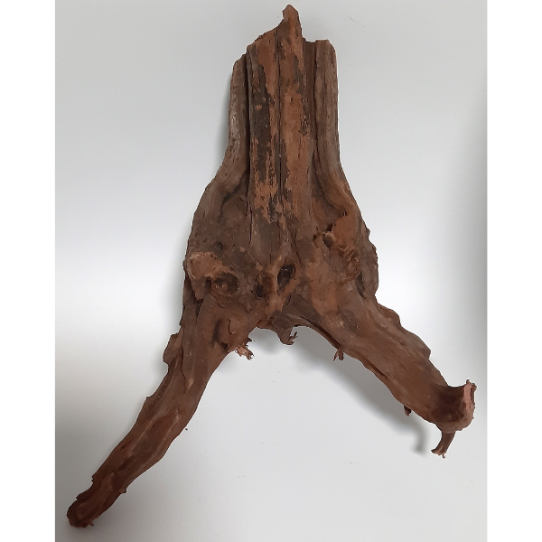 Sera Drift Wood, Natürliches Treibholz M #07