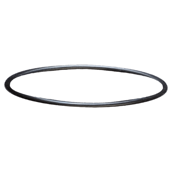 Sera 30637 Filterkopf-Dichtung 130/130+UV