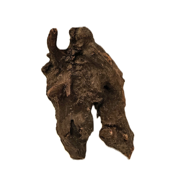 Sera Drift Wood, Natürliches Treibholz M #010