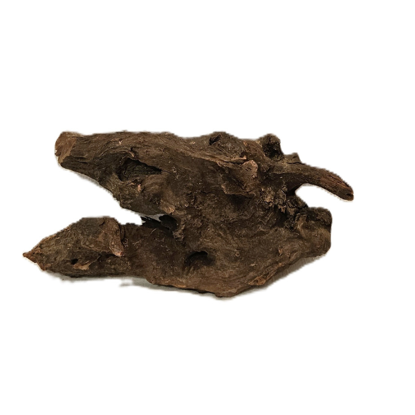 Sera Drift Wood, Natürliches Treibholz M #010