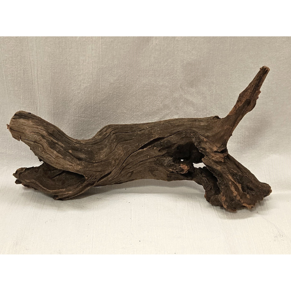Sera Drift Wood, Natürliches Treibholz M #011