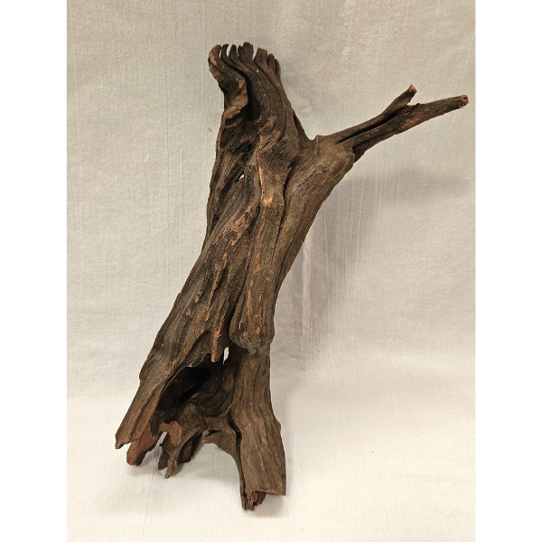 Sera Drift Wood, Natürliches Treibholz M #011
