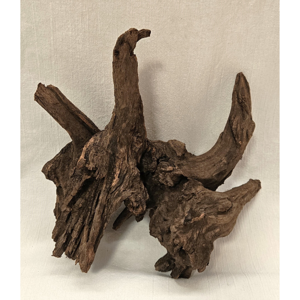 Sera Drift Wood, Natürliches Treibholz M #015
