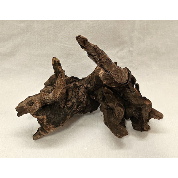 Sera Drift Wood, Natürliches Treibholz M #016
