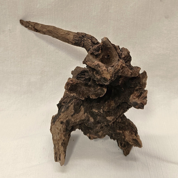 Sera Drift Wood, Natürliches Treibholz M #016
