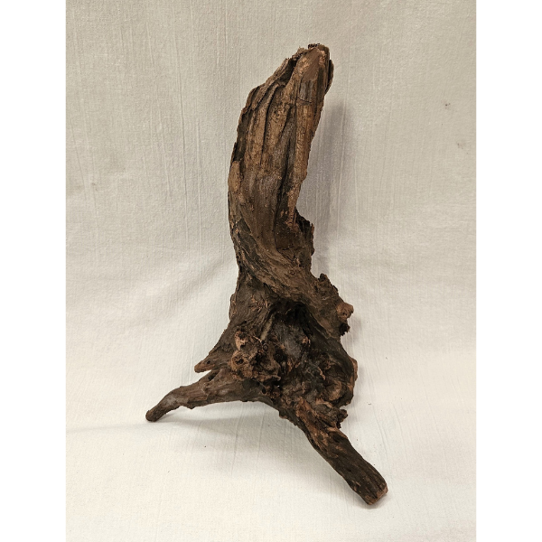 Sera Drift Wood, Natürliches Treibholz M #017