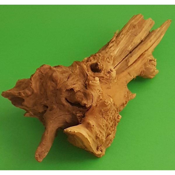 Amtra Guinea Wurzel #21