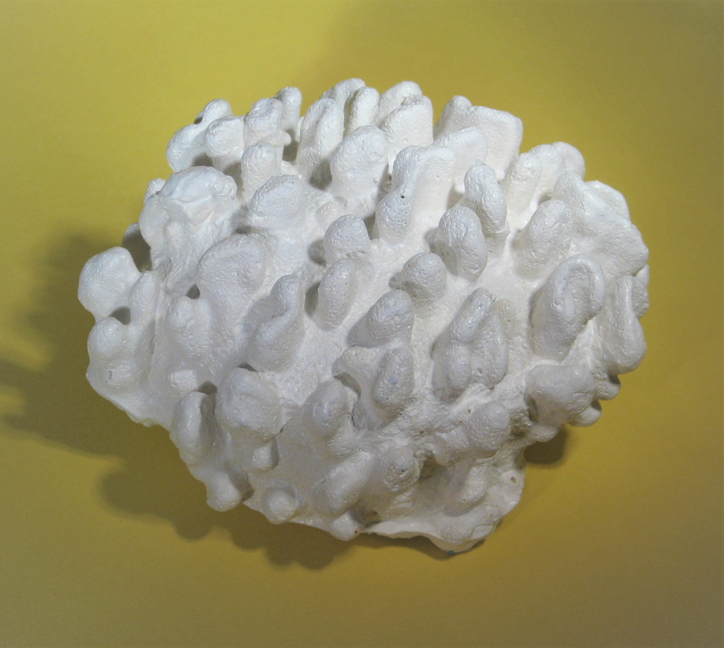 Europet Deko Koralle Weiß