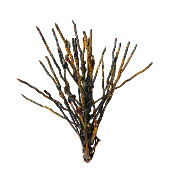 Natürliche Kokosrispe ab 30cm