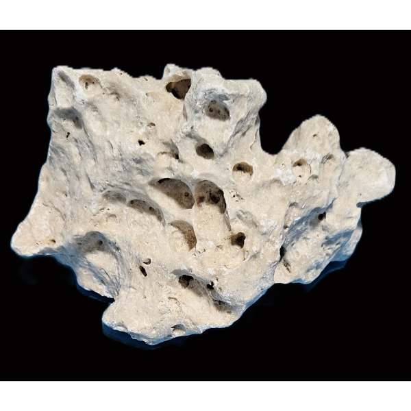 Orbit Lochgestein Sansibar M #028