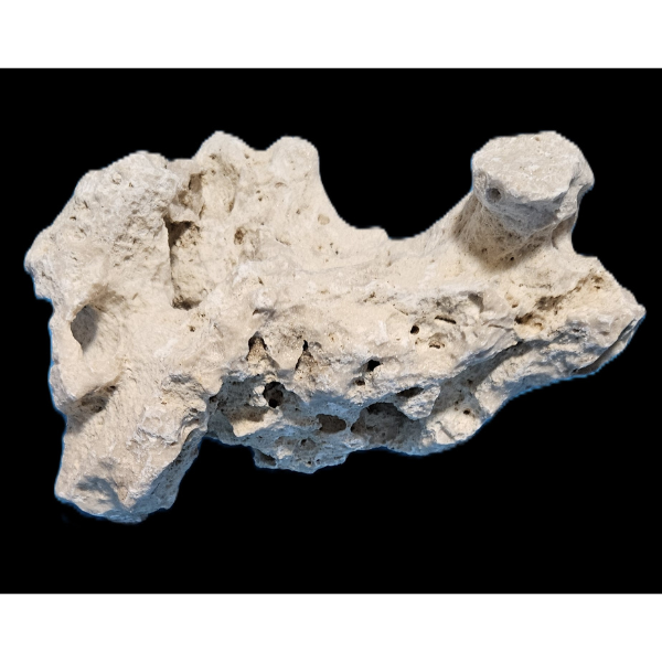 Orbit Lochgestein Sansibar M #029