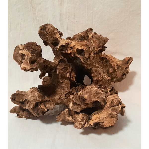 Barico Wurzel Mittel #023