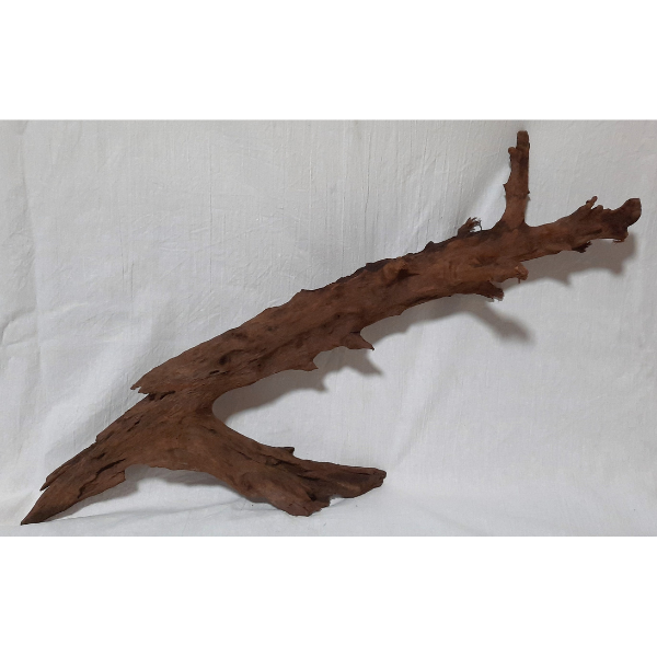 Orbit Mangroven Wurzel L gestrahlt #052