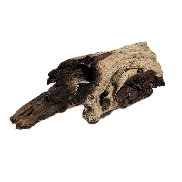 Aquadeco Mopani Wurzel S 2-farbig #101