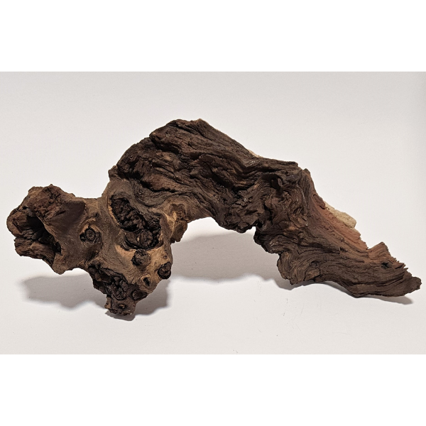 Aquadeco Mopani Wurzel S 2-farbig #104