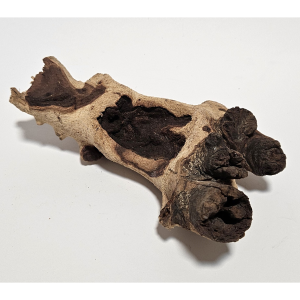 Aquadeco Mopani Wurzel S 2-farbig #108