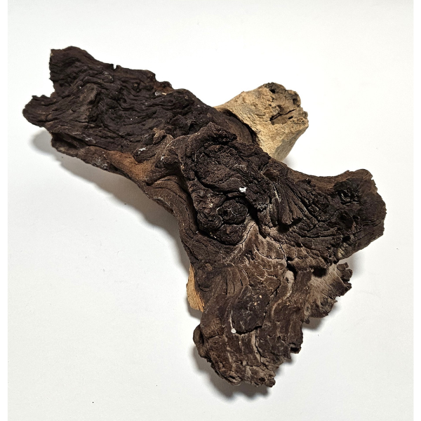 Aquadeco Mopani Wurzel S 2-farbig #110