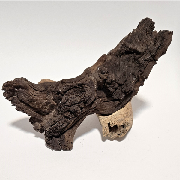 Aquadeco Mopani Wurzel S 2-farbig #110