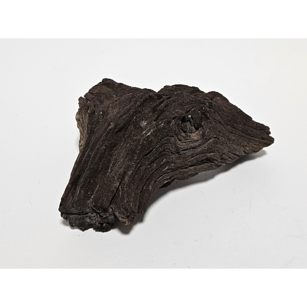 Aquadeco Mopani Wurzel S braun #111