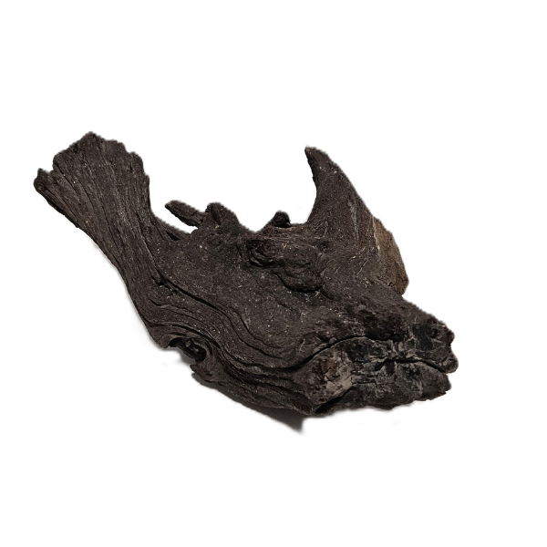 Aquadeco Mopani Wurzel S braun #111