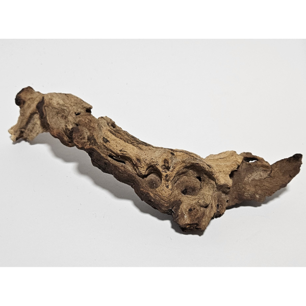 Aquadeco Mopani Wurzel S 2-farbig #112