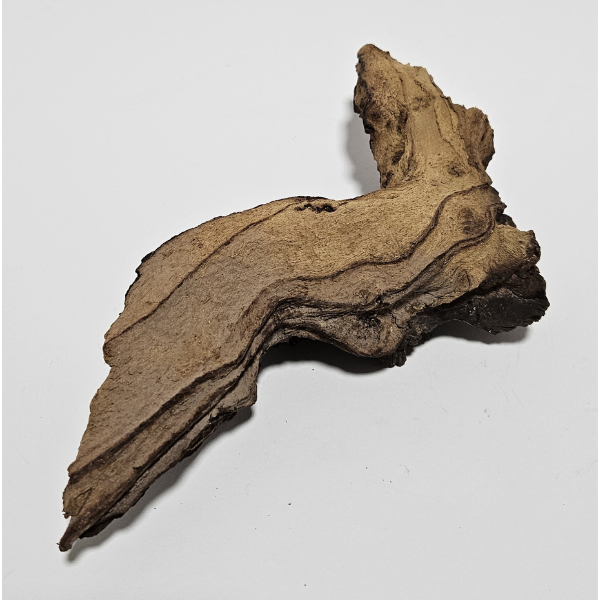 Aquadeco Mopani Wurzel S 2-farbig #113