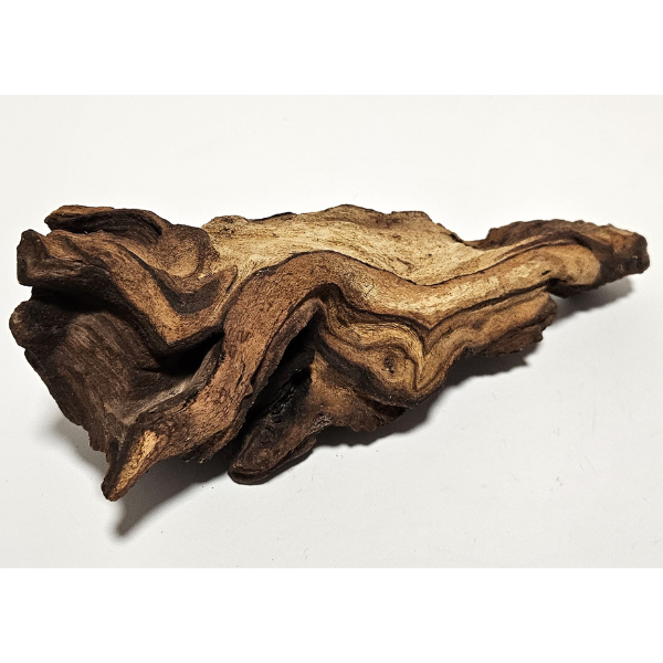 Aquadeco Mopani Wurzel S 2-farbig #114